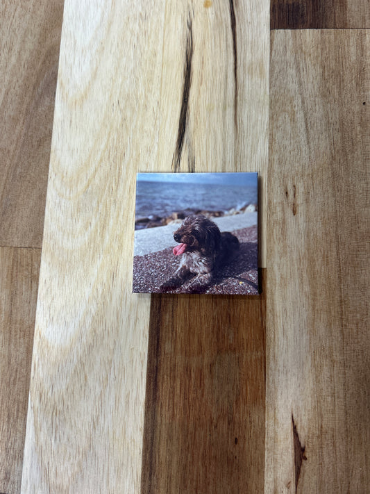 Single Custom Photo Magnet