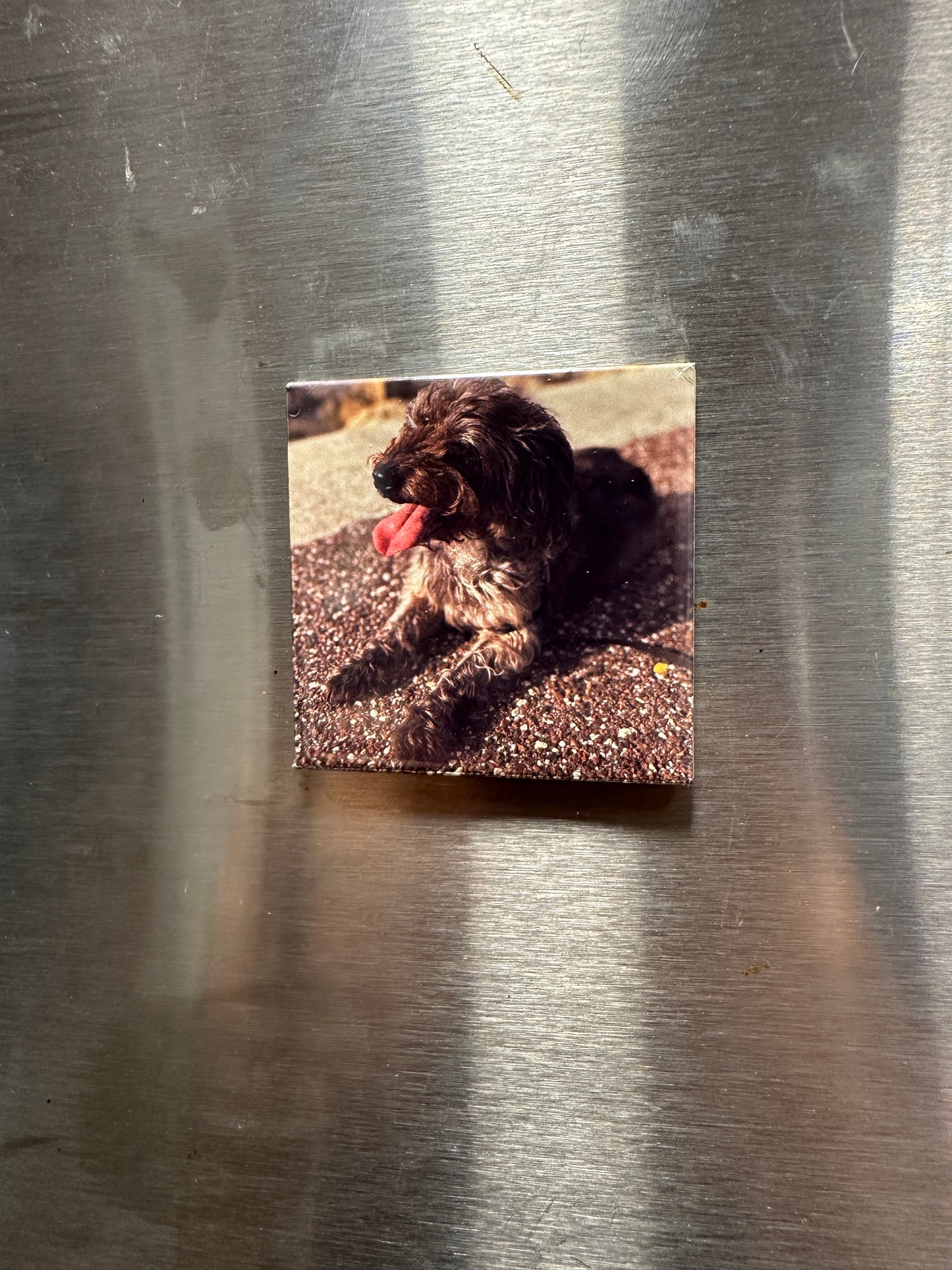 Single Custom Photo Magnet